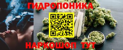 гидра Комсомольск-на-Амуре