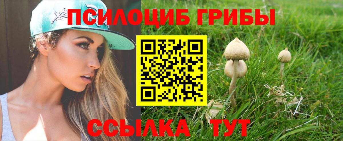 Озёры  Галлюциногенные грибы прущие грибы  Псилоцибиновые грибы мицелий  Вход с VPN 