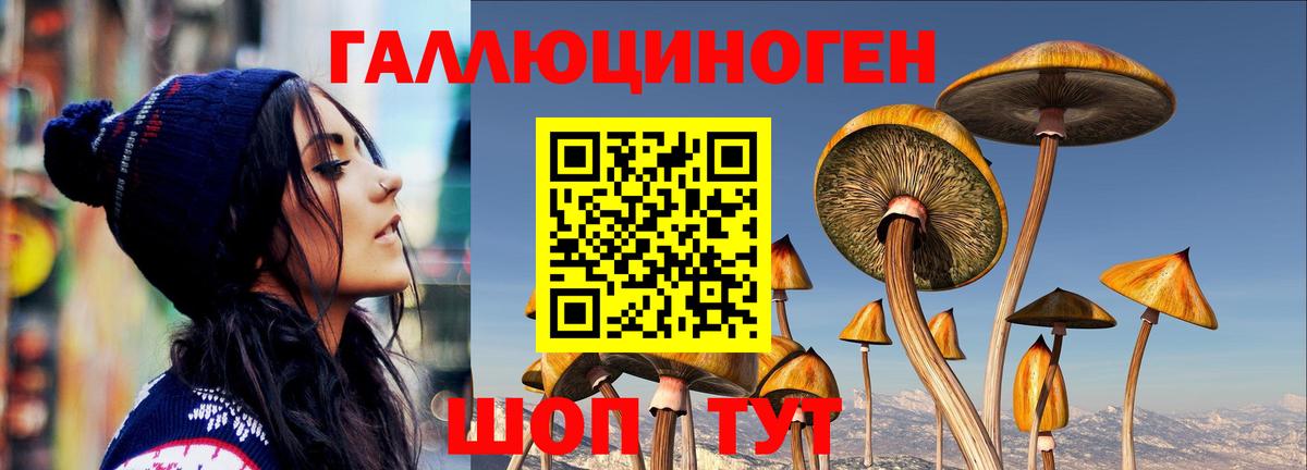 Галлюциногенные грибы ЛСД Озёры